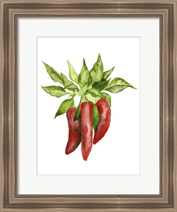 Framed Watercolor Veggie II Print