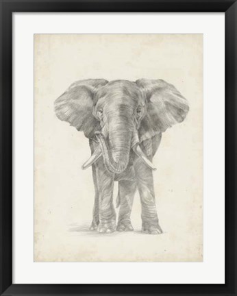 Framed Elephant Sketch II Print