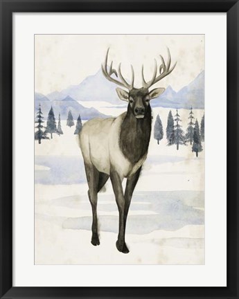 Framed Alaskan Wilderness II Print