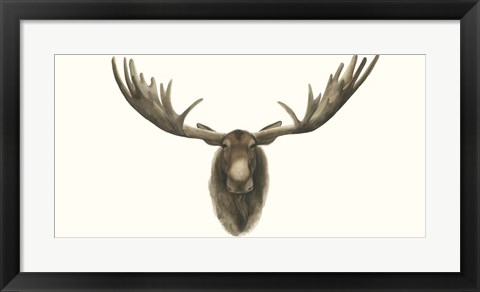 Framed Moose Bust Print