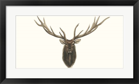 Framed Elk Bust Print