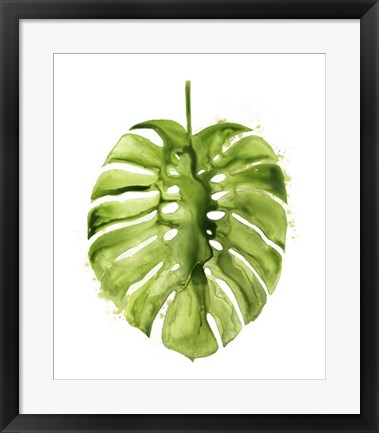 Framed Monstera I Print