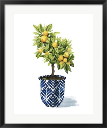 Framed Fruit Tree I Print