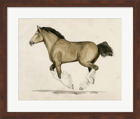 Framed Clydesdale II Print