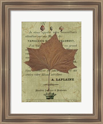 Framed Autumn Leaf II Print