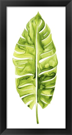 Framed Banana Leaf Study I Print