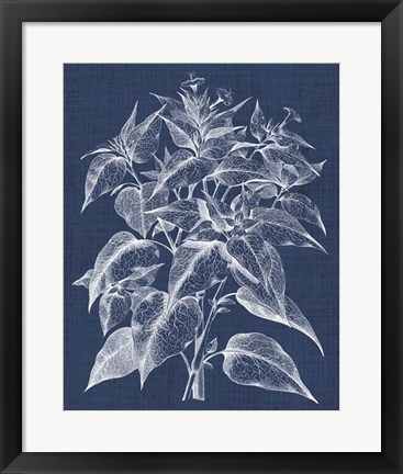 Framed Foliage Chintz III Print