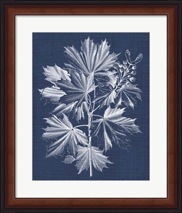 Framed Foliage Chintz V Print