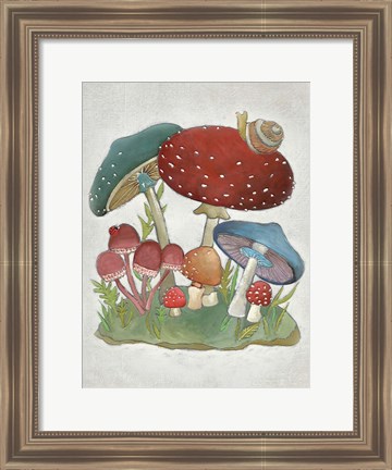 Framed Mushroom Collection I Print