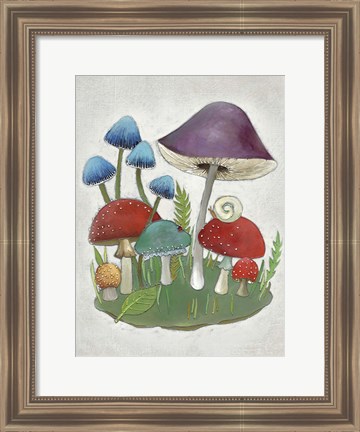 Framed Mushroom Collection II Print