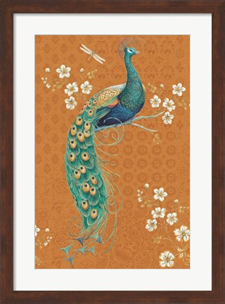 Framed Ornate Peacock IX Spice Print