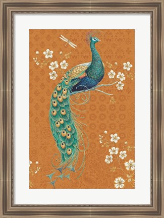 Framed Ornate Peacock IX Spice Print