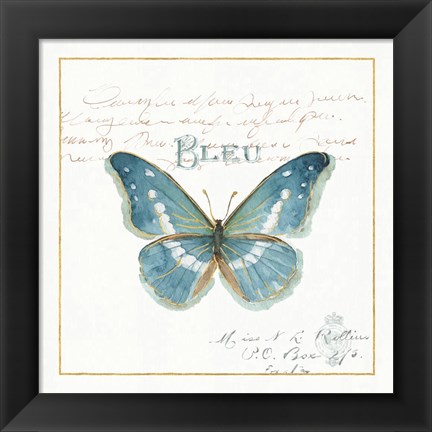 Framed Rainbow Seeds Butterflies V Print