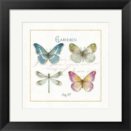 Framed Rainbow Seeds Butterflies IV Print