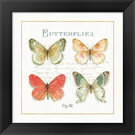 Framed Rainbow Seeds Butterflies III Print