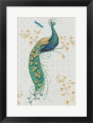 Framed Ornate Peacock IXA Print