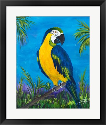 Framed Island Birds II Print