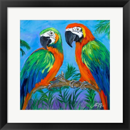 Framed Island Birds Square I Print