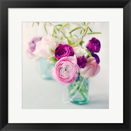 Framed Pink Ranunculus Print