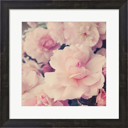 Framed Pink Blossoms I Print