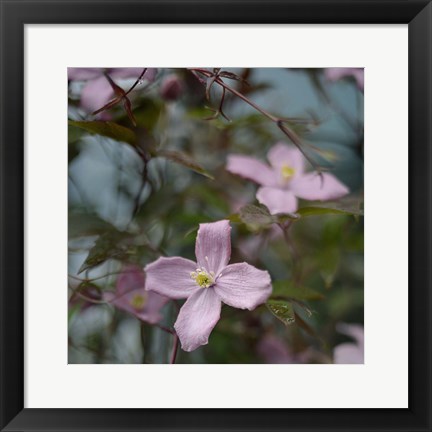 Framed Springtime I Print