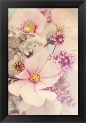 Framed Pink Blossoms II Print