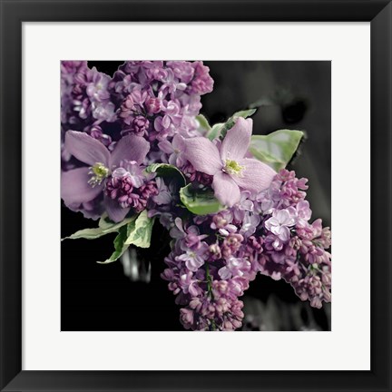 Framed Fresh Evening Bloom Print