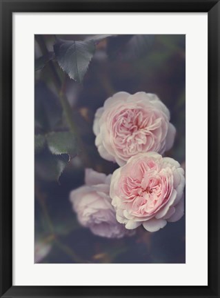 Framed Hiding Blooms Print