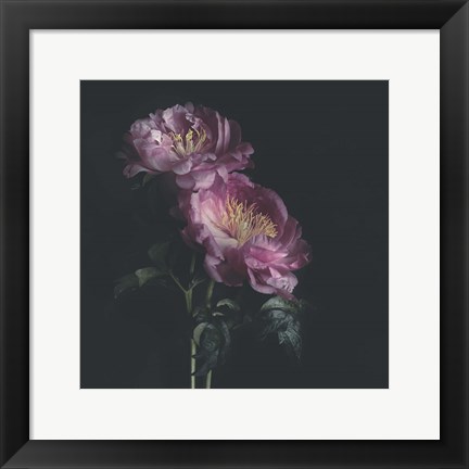 Framed Dark Florals Print