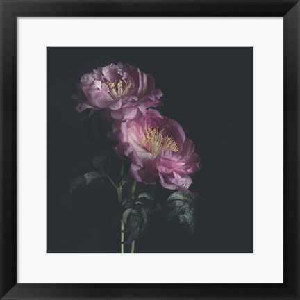 Framed Dark Florals Print