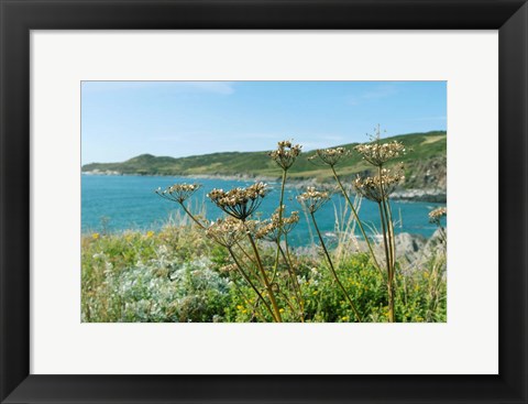 Framed Far Away In The Breeze Print