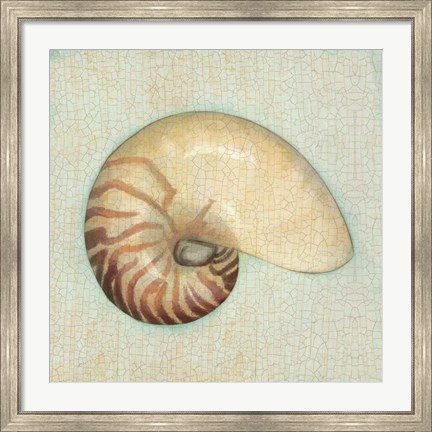 Framed Coastal Treasures III Print