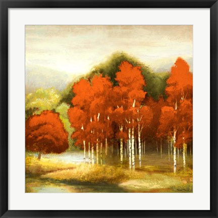 Framed Autumn Birchwood I Print