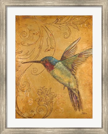 Framed Golden Hummingbird II Print