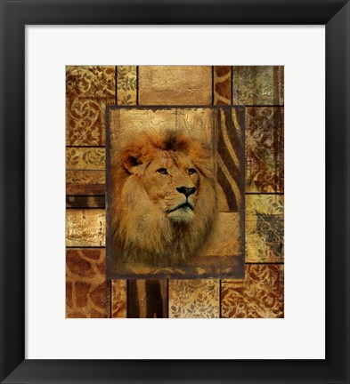 Framed Decorative Safari II (Lion) Print