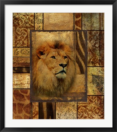 Framed Decorative Safari II (Lion) Print