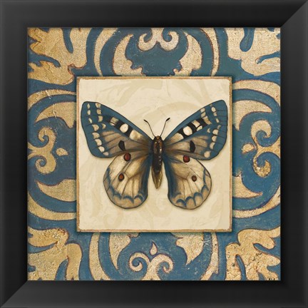 Framed Moroccan Butterfly I Print