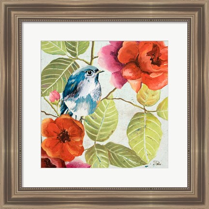 Framed Beautiful Bird I Print