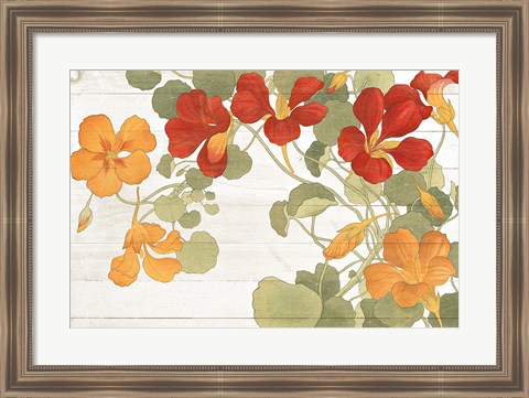 Framed Summer Nasturtiums Cottage Print