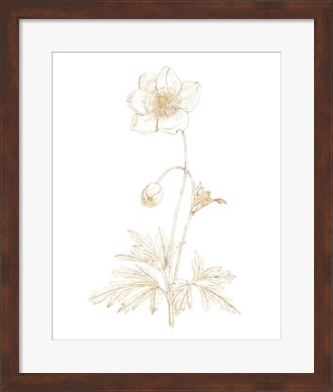 Framed Gilded Botanical II Print