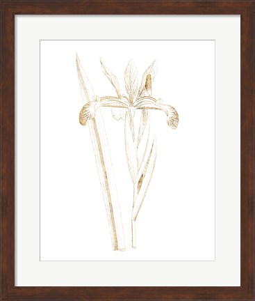 Framed Gilded Botanical III Print