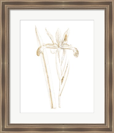 Framed Gilded Botanical III Print