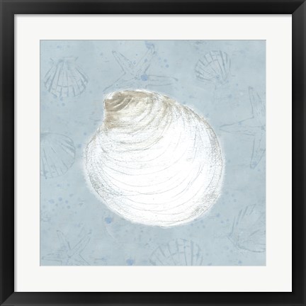 Framed Serene Shells IV Print