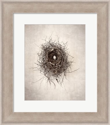 Framed Nest I Print