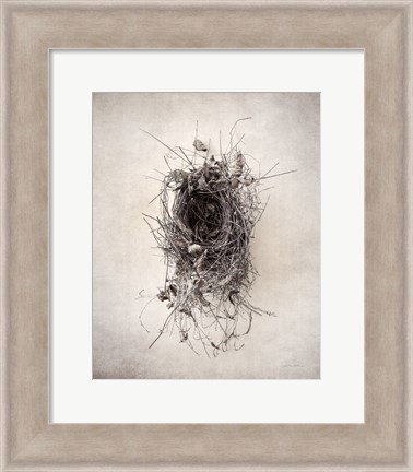 Framed Nest II Print