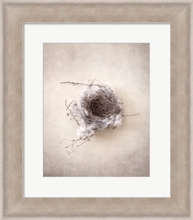 Framed Nest III Print