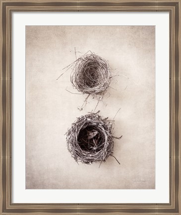 Framed Nest IV Print