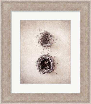 Framed Nest IV Print