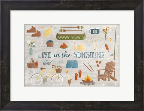 Framed Summer Sunshine III Print