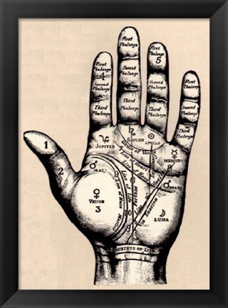 Framed Palmistry Print